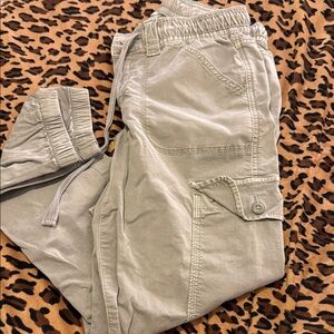 American Eagle Outfitters Light Green Cargo Pants